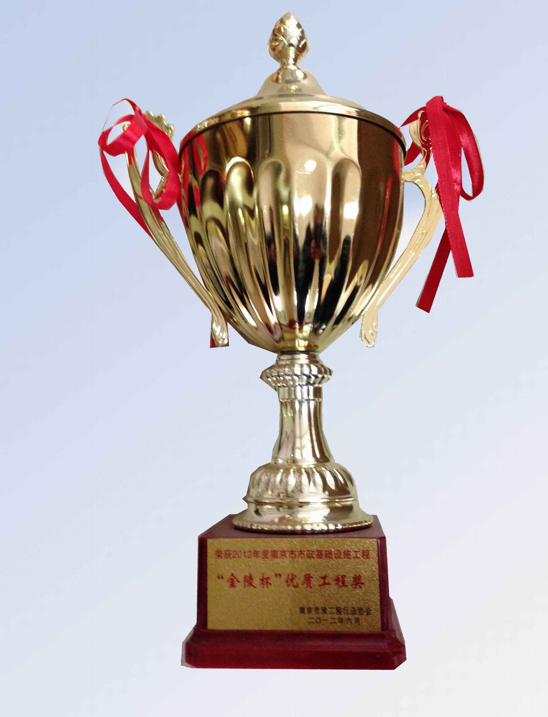 建宁路环境综合整治工程荣获“金陵杯”优质工程奖