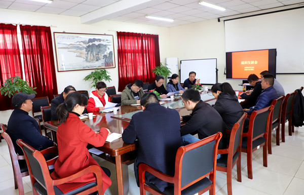 爱游戏网页版官方网站集团党支部召开2020年度组织生活会