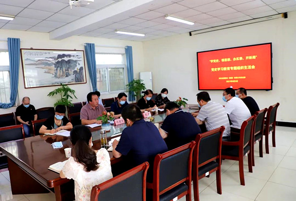 爱游戏网页版官方网站集团党支部召开党史学习教育专题组织生活会